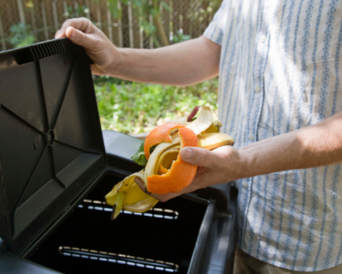 Compost Bin