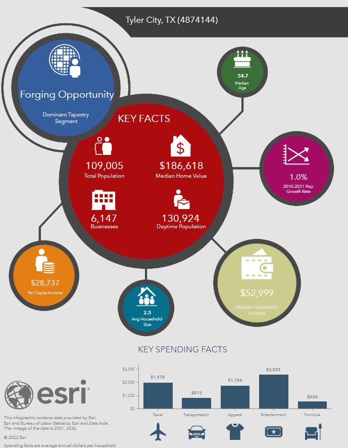 ExecutiveSummary-KeyFactsPic