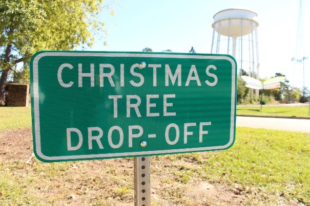 Christmas tree dropoff