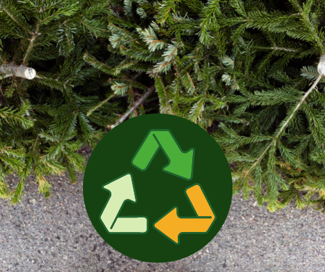 Christmas Tree recycling