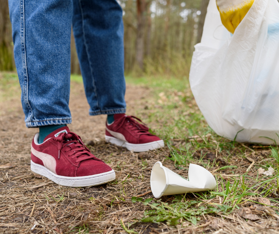 Park cleanup