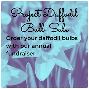 Project Daffodil Bulb Sale