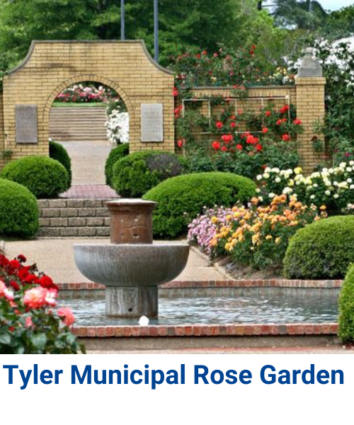 Rose Garden Icon