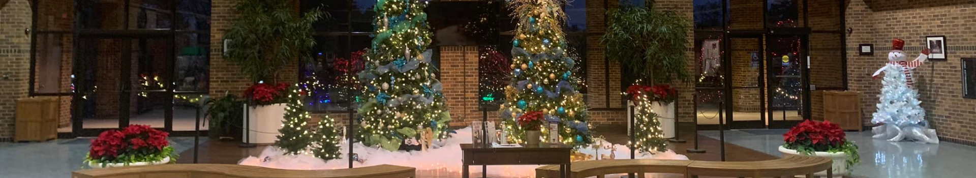 Various christmas trees decorated for the holiday in the Rose Garden Center atrium