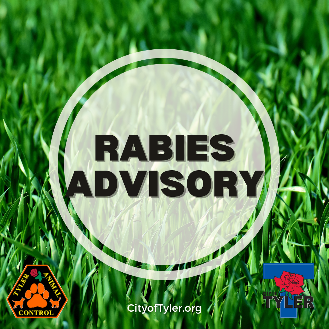 Rabies Advisory