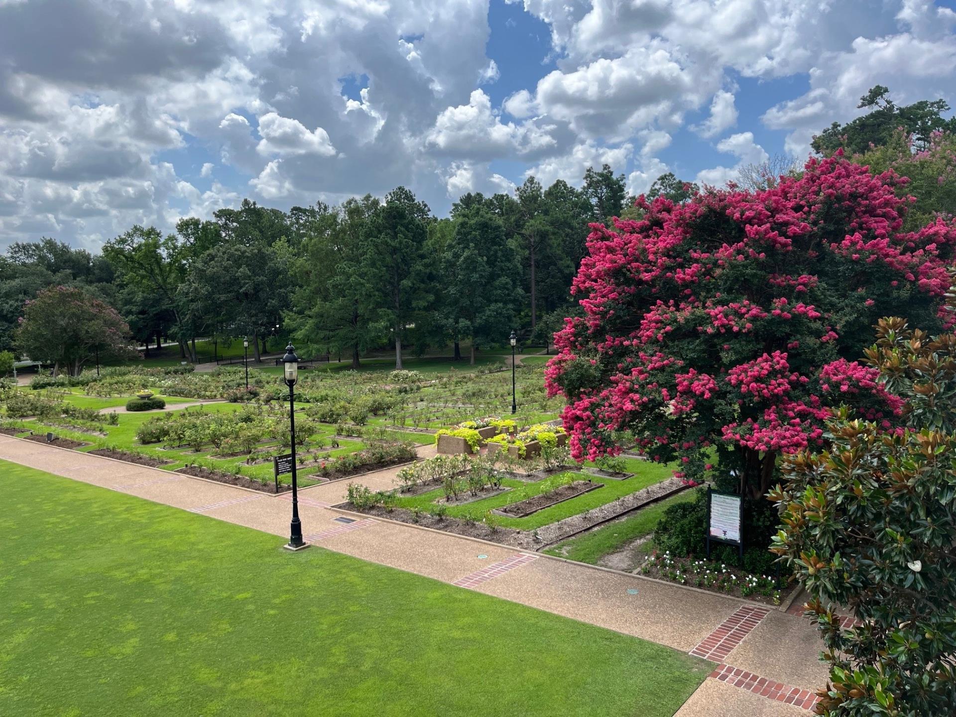 Tyler Rose Garden | Tyler, TX