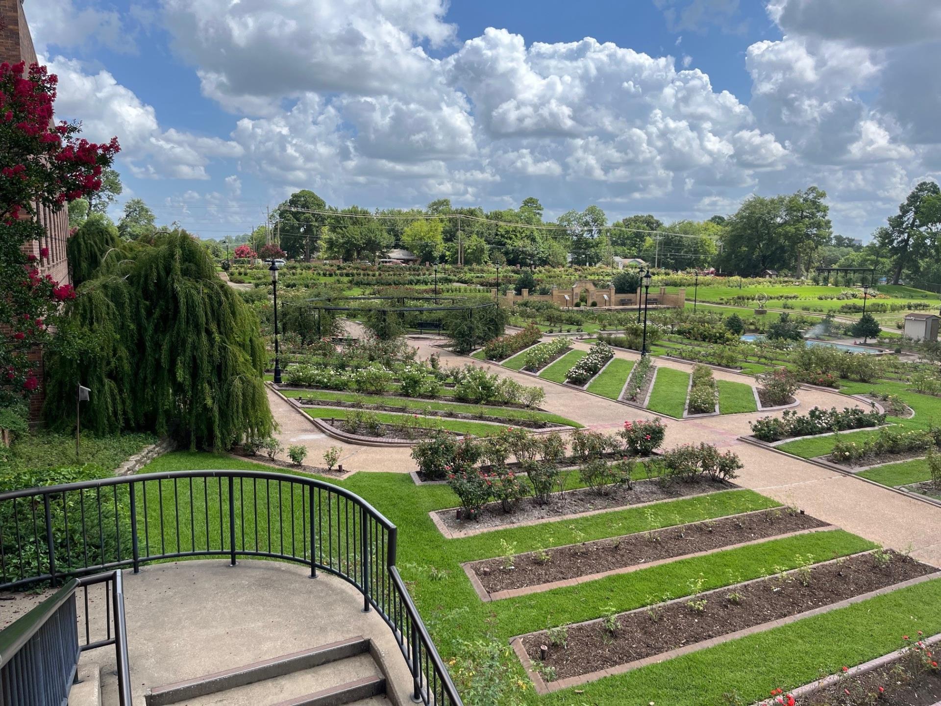 Tyler Rose Garden | Tyler, TX