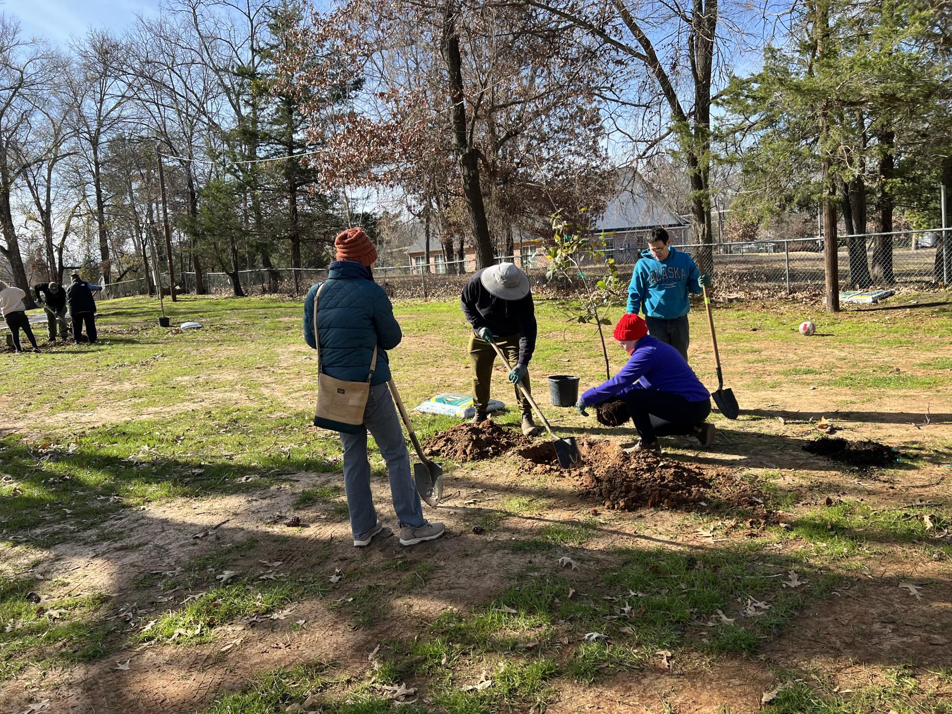 A group of 4 people with shovels planting a young tree