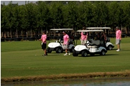 Pink-Shirted Golfers