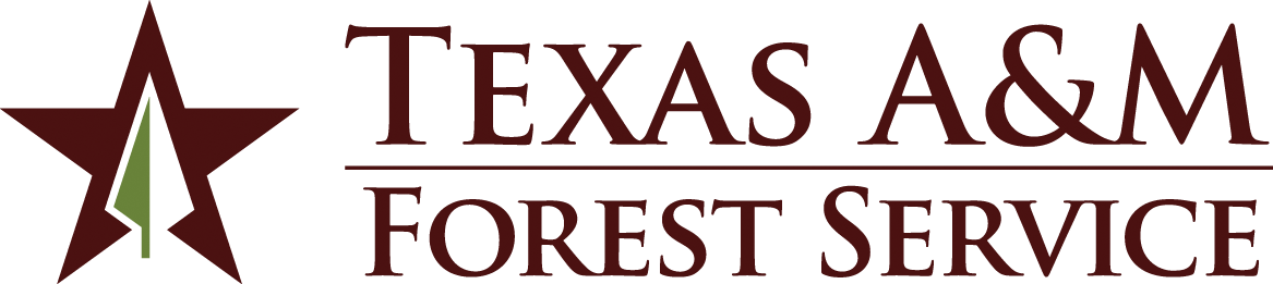 Texaas A&M Forest Service