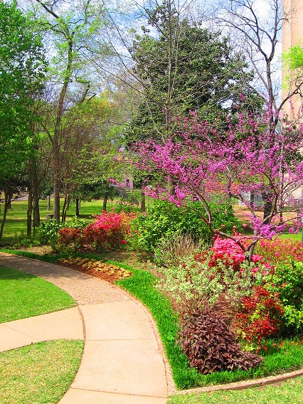 Sidewalk and Flowers in sunlight