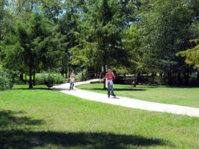 Rollerbladers on sidewalk