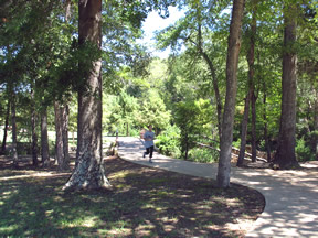 Shaded Sidewalk at Rose Rudman Trail