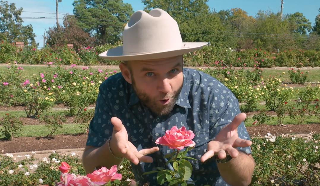 The DayTripper visits the Tyler Rose Garden