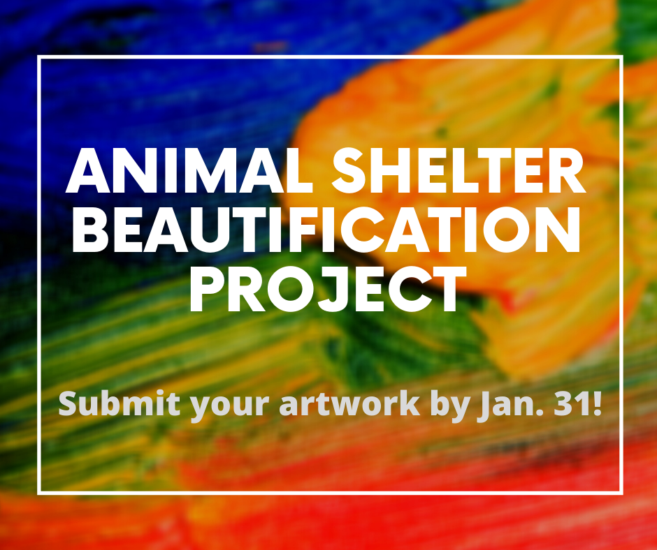 Animal Shelter Beautification Project