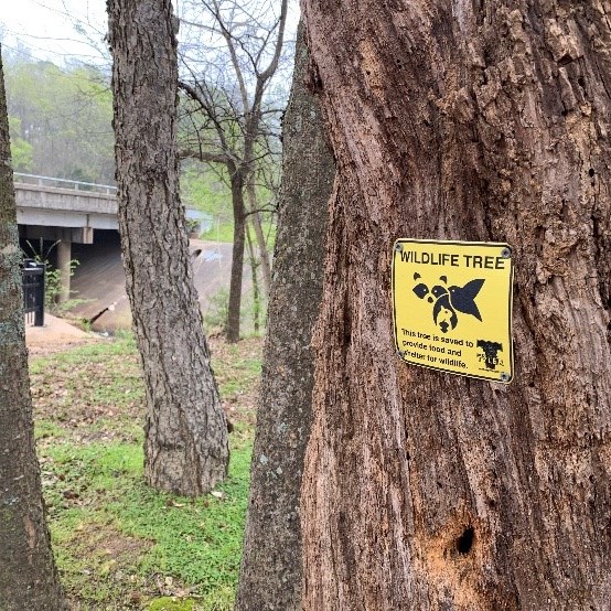 Wildlife Tree Signs