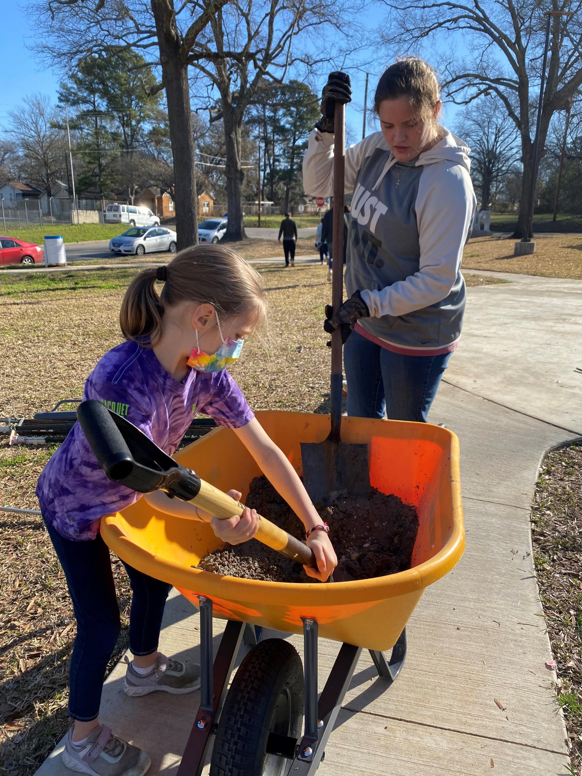 Little Libraries - 1